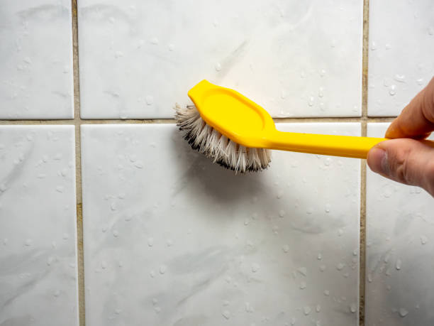 Mold Removal Process in Paoli, IN