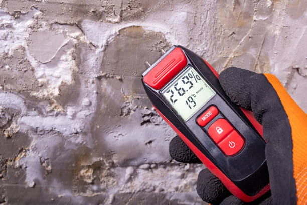 Best Professional Mold Removal  in Paoli, IN